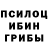 Галлюциногенные грибы Cubensis Stepan Saytkun