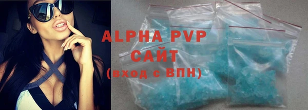 сатива Аркадак