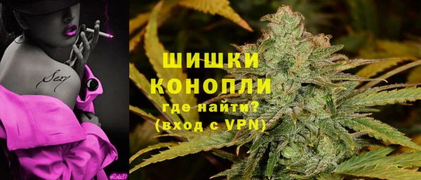 сатива Аркадак