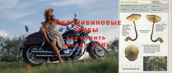 соль ск Арсеньев
