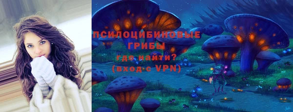 сатива Аркадак