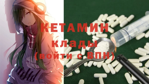 дурь Няндома