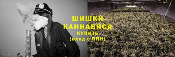 сатива Аркадак